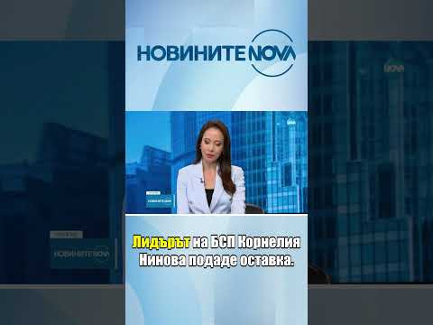 Корнелия Нинова подаде