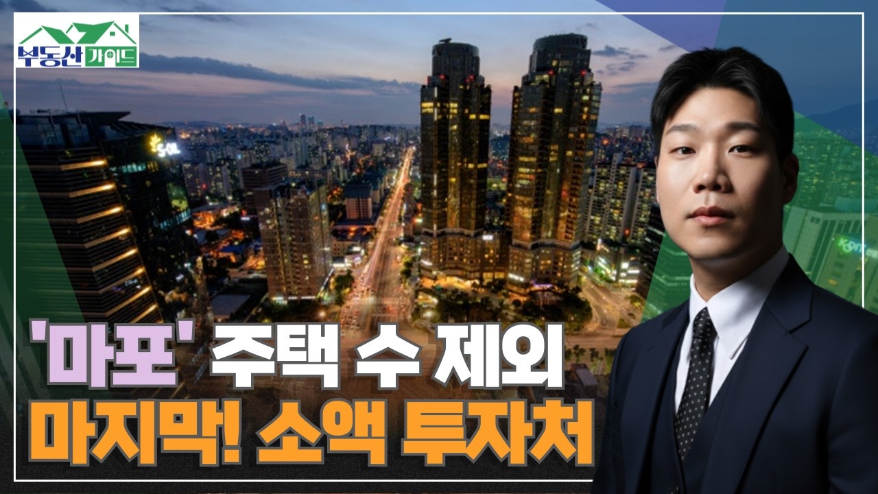 다주택자도 가능한 투자처는? [260311 부동산가이드 동산이형 박성일 팀장]