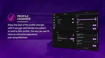 BAIMLESS 3.0 Showcase | Premium CSGO Cheat - Aim/Visual/Mics/Special/Rank Changer/Inventory Changer