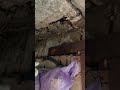 Восстановление гаража. Часть 2.