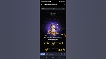 17th June Hamstar Combo #crypto #binance #hamsterkombat #bitcoin #cryptocurrency #memefi