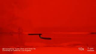 Oscibot Swimming screenshot 4