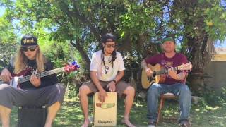 Sun-Dried Vibes - Lemon Tree Acoustic Session