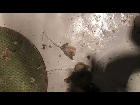 Sewer power rodding