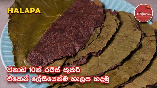 Kurakkan helapa | කුරක්කන් හැලප හදන රසම විදිහ | Easy Halapa Recipe Sinhala by Ape M S Kitchen