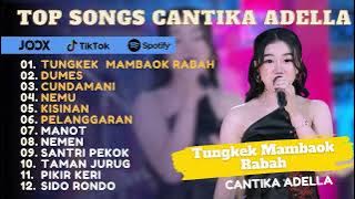 Cantika Adella - Tungkek  Mambaok Rabah || Dangdut Koplo Terbaru 2024 Viral Tiktok