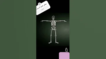 حياتي بقت اجمل بكتير 