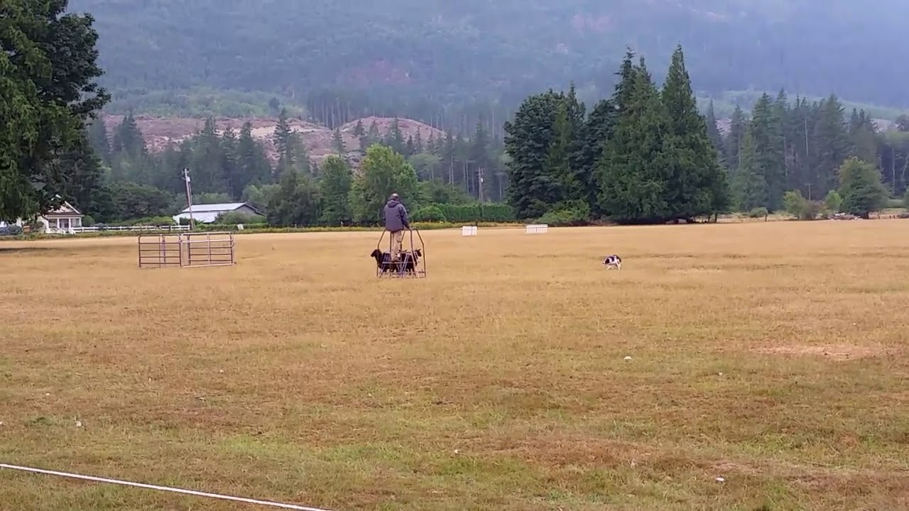 Lexi Shepherd's Retreat SDT 170812