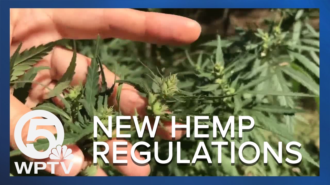 Hemp industry hopes for veto as DeSantis mulls new regulations