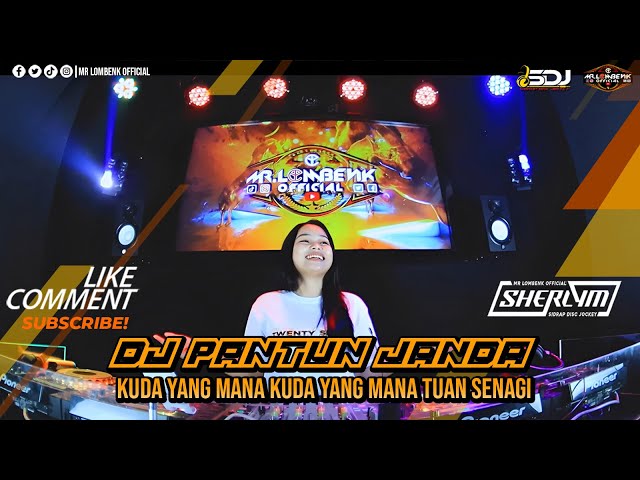 DJ TERBARU VIRAL PANTUN JANDA | NIA MAPPOJI | TIADA YANG LAIN | TRAUMA FULL BASS class=