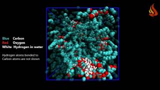 Molecular dynamics of a reverse micelle