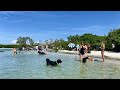 Robb's Saturday Morning Visit to Dog Beach in Bonita Springs, FL 08.21.21