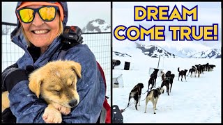 Alaska Glacier Dog Sledding: A Dream Helicopter Adventure (Is It Worth It?)