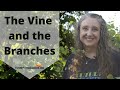 Vine and Branches Bible Object Lesson for Kids