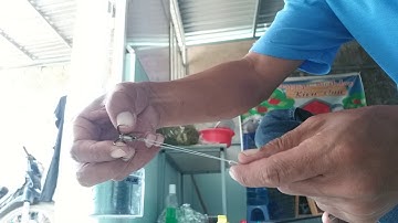 Hướng dẩn cột rường rong câu cá dìa