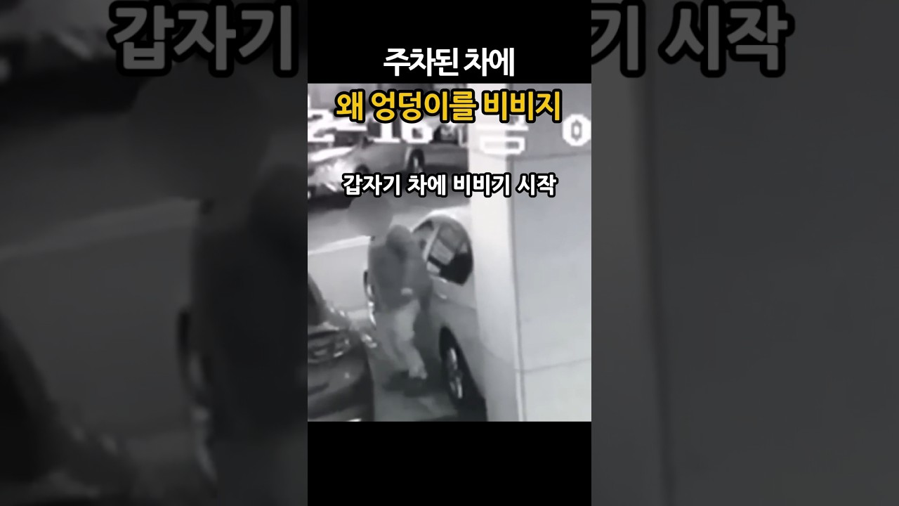 주차된 차에 엉덩이를 비비는 사람