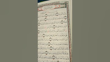 سورة المزمل ماتيسر من الايات #المصحف #اكسبلور #الرحمن #voiceeffects #القزابري #flowers