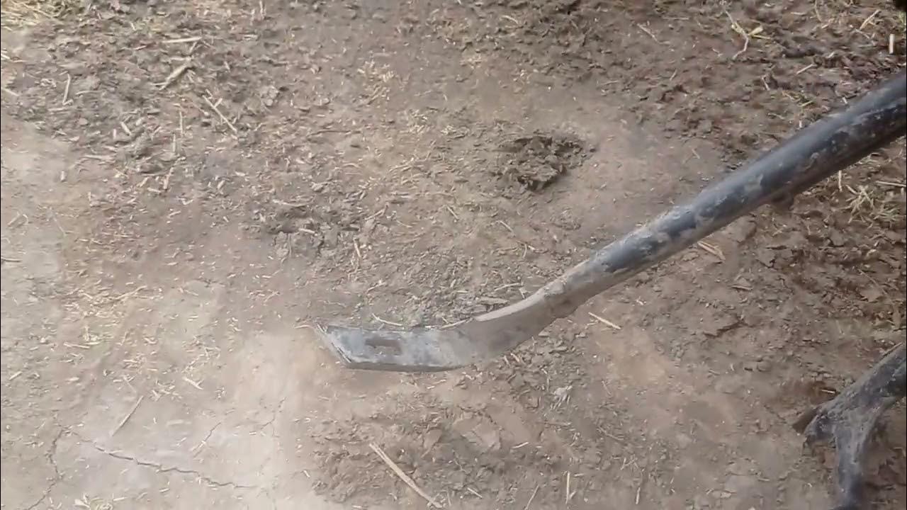 Альфа Offroad 2022