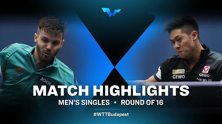 Nandor Ecseki vs Alexander Chen | WTT Contender Bu...