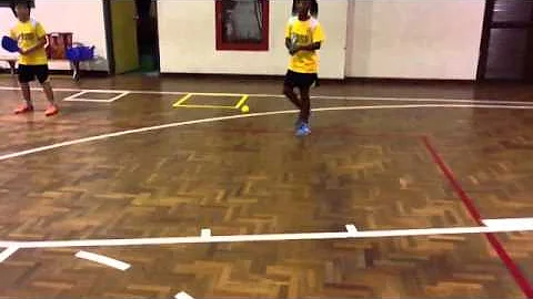 Allison V. forehand stroke Terry