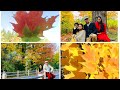 Fall in Canada 🍁/ vlog #6