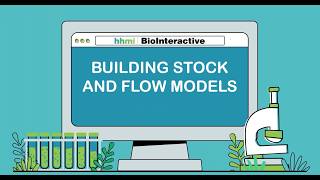 Building Stock and Flow Models