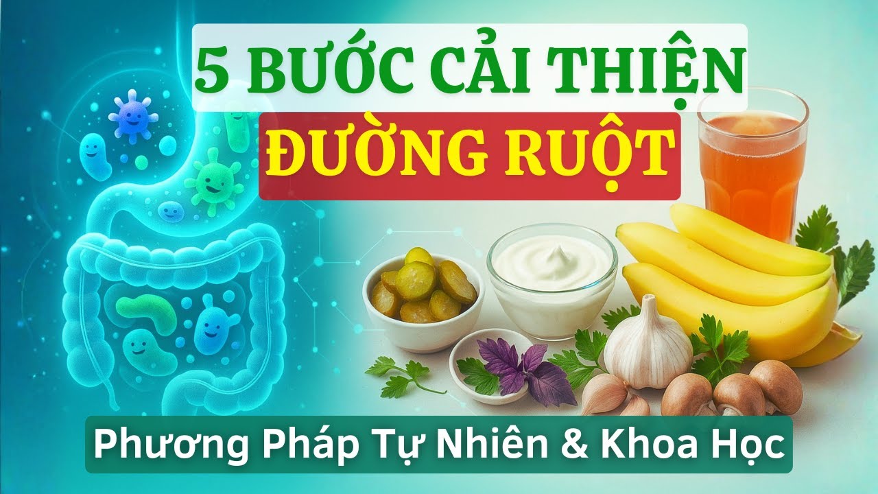 Không Cần Thuốc - 5 Bước Khoa Học Giúp Xây Dựng Hệ Vi Sinh Đường Ruột Khỏe Mạnh Tự Nhiên