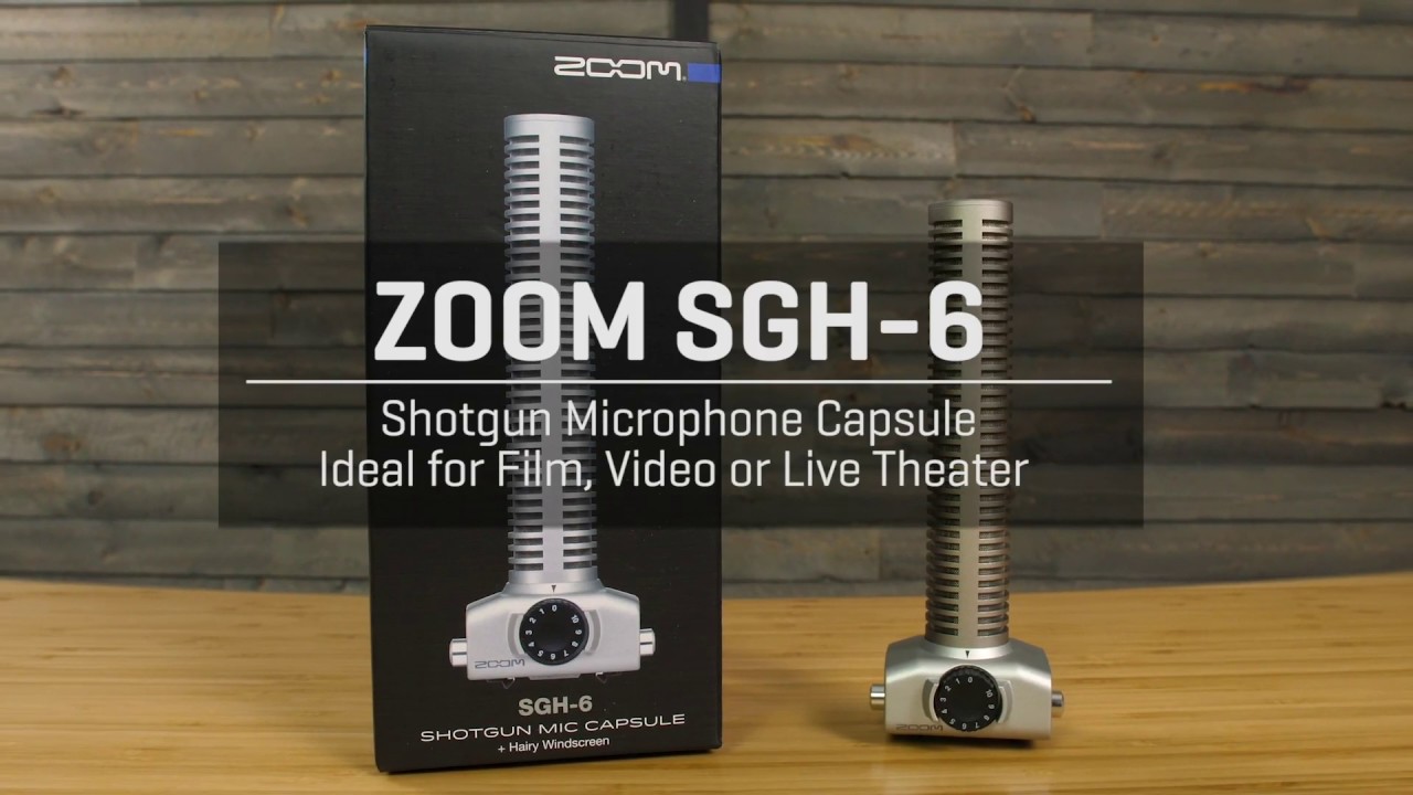 SGH-6 Shotgun Microphone Capsule | Zoom