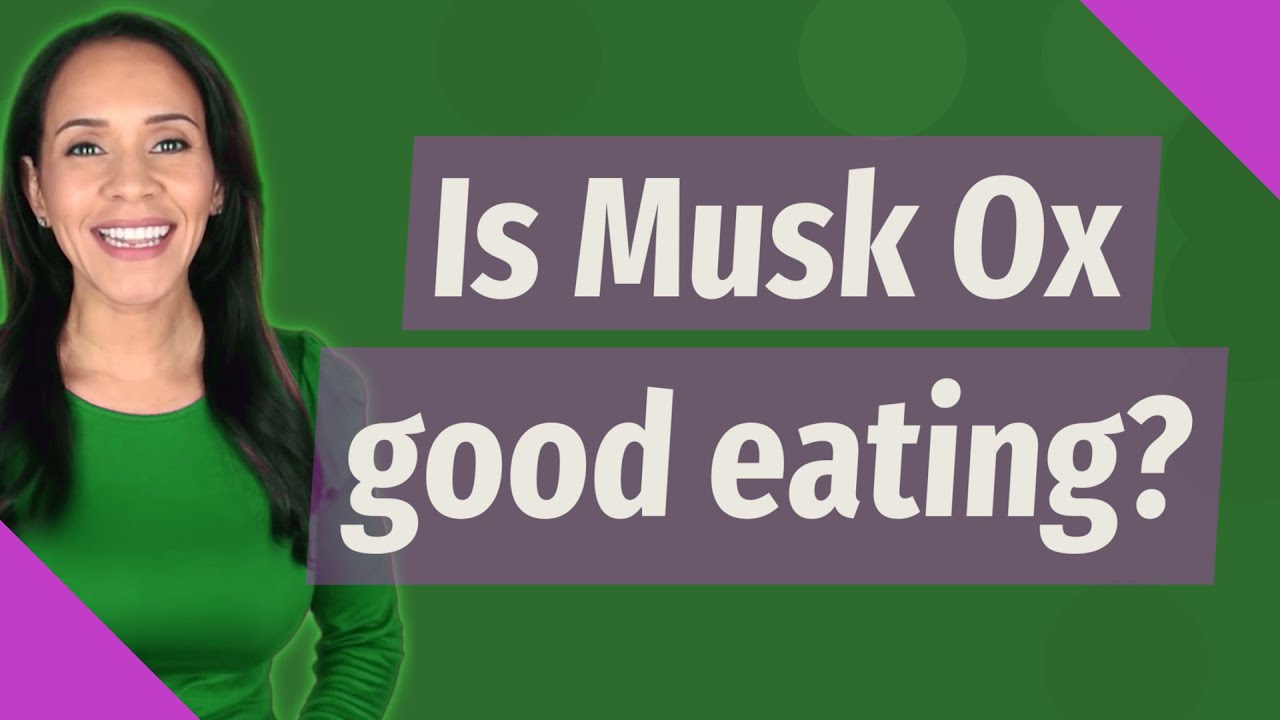 Is Musk Ox good eating?
