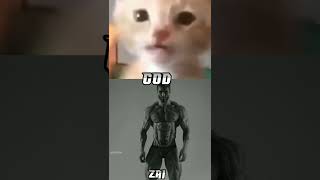 Kitty vs gigachad