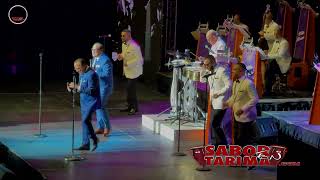 Willie Rosario 100 Años Cantan: Gilberto Santarosa &amp; Tony Vega &quot; Babarabatibiri &quot;