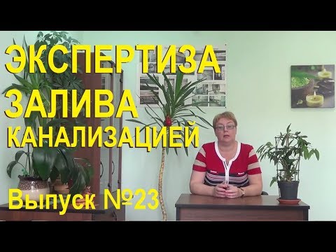 Экспертиза залива квартиры канализацией Выпуск №23 Спроси у эксперта Натальи Пальчевской