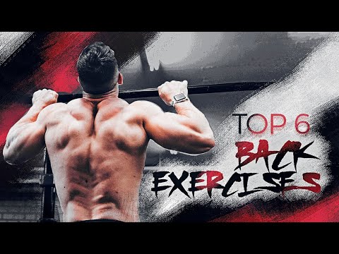 Top 6 Back Exercises | Advanced Back Workout by Dejan Stipke