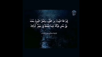 إِنَّ الَّذِينَ كَفَرُوا يُنفِقُونَ .. #تلاوة القارئ/عبدالرحمن شحات #صلوا_على_النبي_محمد_ﷺ