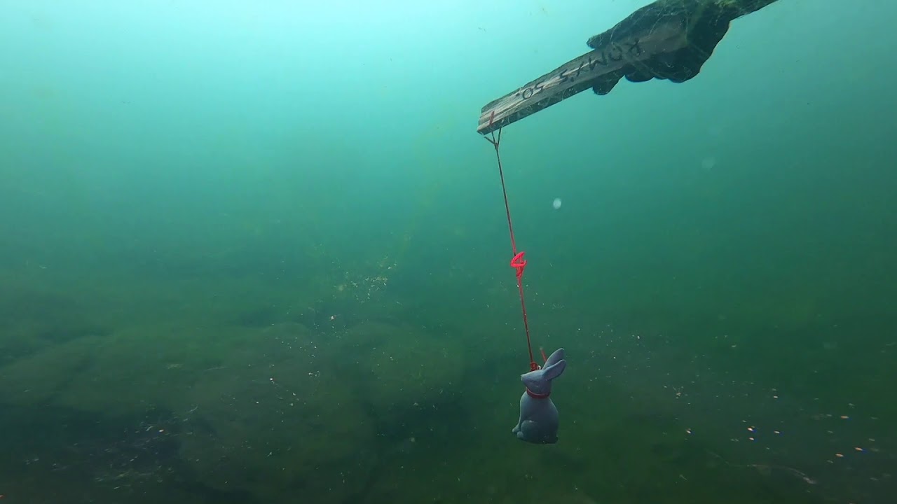 Tauchen alte Zollbrücke Rheinau YouTube