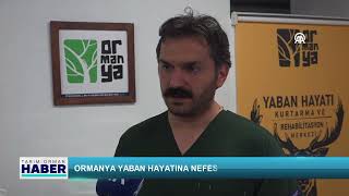 Ormanya Yaban Hayatına Nefes Oluyor