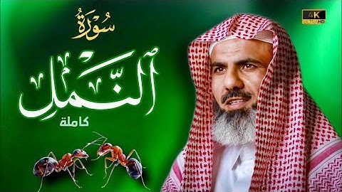 سورة (النمل) كاملة | بترتيل منوع| ٢٩-رمضان -٢٠٢١/١٤٤٢| عمر عبدالله |Surah_AL_NAML | Omar abdulla