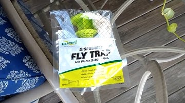 rescue disposable fly trap review after 5 days