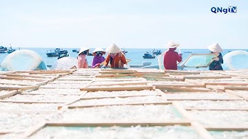 Tập 4: Người Quảng Ngãi ở Đại Lãnh | Sắc quê Quảng Ngãi - Kết nối để vươn xa