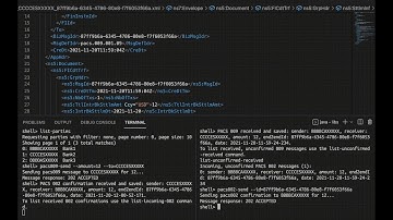Impel - See Raw Command line ISO-20022 Financial Message Sent Over the XDC Network