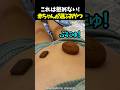 これは拒めない！赤ちゃんが選ぶおやつ