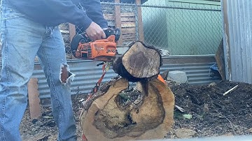 Echo 355t Stock VS. 355t Ported