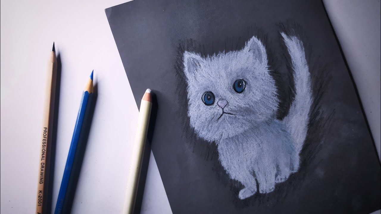 Cute cat drawing in black paper. white charcoal pencil sketch - YouTube