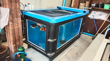 James เอกชัย 83 - งาน Overflow Full Services ตู้เฟอร์ 60 (เปลี่ยนกรองมุมเป็นกรองล่าง) จบมีปลา Set 2