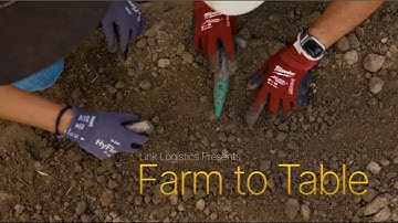 From Farm to Table | How Link Logistics and CoreGiving Support the Fight Against Hunger