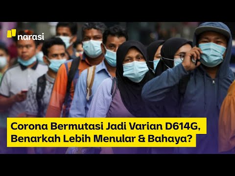 Video: Bolehkah covid bermutasi dan menjadi lebih maut?