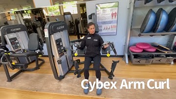 Equipment Focus - Cybex Arm Curl