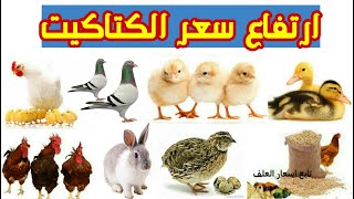 اسعار الفراخ البيضاء اليوم الاربعاء 1/4/2020 بورصه الدواجن/البط/الارانب/السمان/الحمام/البيض/الاعلاف