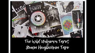 Обзор колоды The Wild Unknown Tarot - Дикое Неизвестное Таро Kim Krans