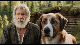 The Call of the Wild part 2 | The reborn king of dogs | Great Movie Clips
